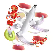 300W Electric Meat Grinder (2 Bowls)